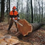 Best Commercial Professional ChainSaw